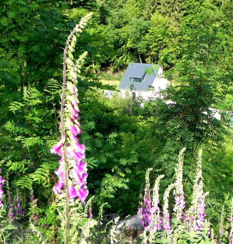 Ferienhaus Buschmuehle - Stolpen Eksteriør billede