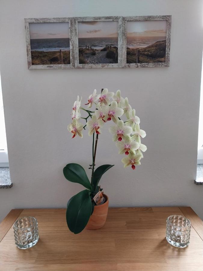Ferienhaus Buschmuehle - Stolpen Eksteriør billede